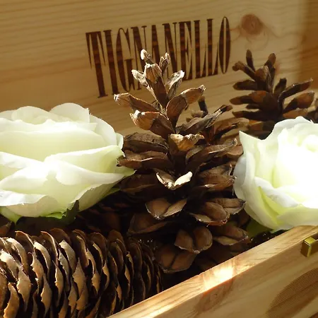 Hotel Blumental Murren