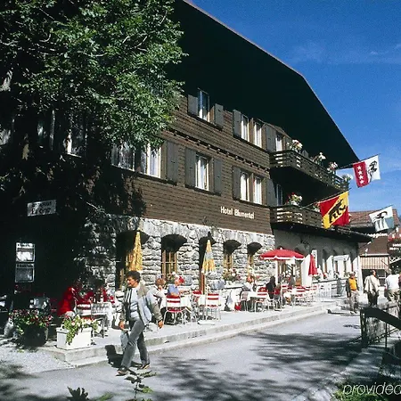 Hotel Blumental