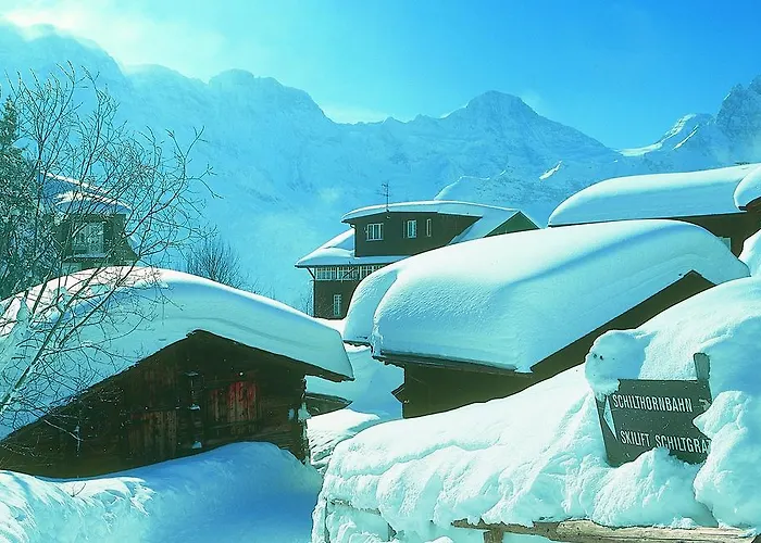 Blumental ホテル 3*