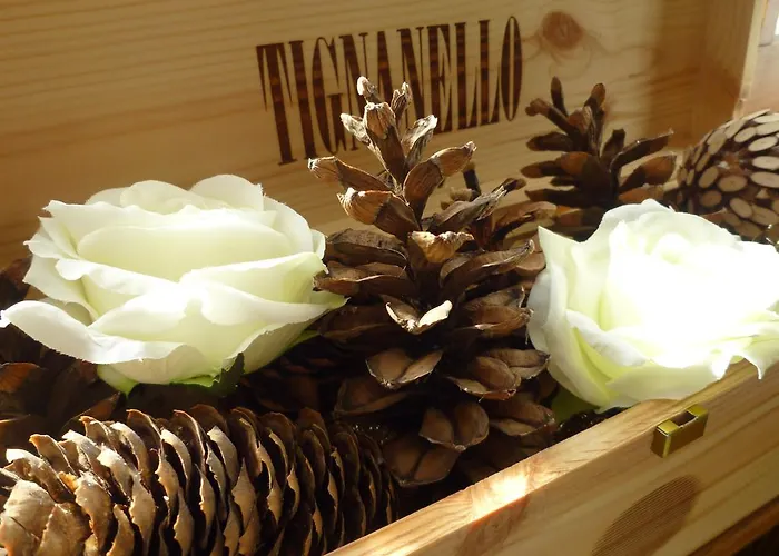 מלון Blumental מורן